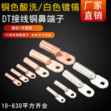 DT-10/16/25/35/50-630国标/非标齐全镀锡铜色铜鼻端子10只起包邮