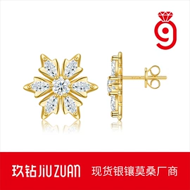 戒指;项链;耳环