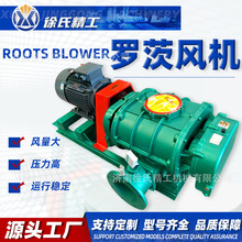 罗茨鼓风机污水处理厂家中高压直联三叶真空泵曝气增氧机耐用