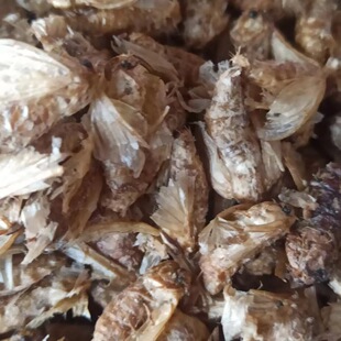 ���Q��Ė|��500g�˰��]δ�������Q��������ݾ��ϰ��]��؛��؛