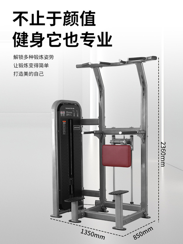 シングルおよびダブルバー トレーナー、アシスト懸垂、上肢屈伸力、業務用フィットネス機器、膝上げおよび腹部トレーニング デバイス|undefined