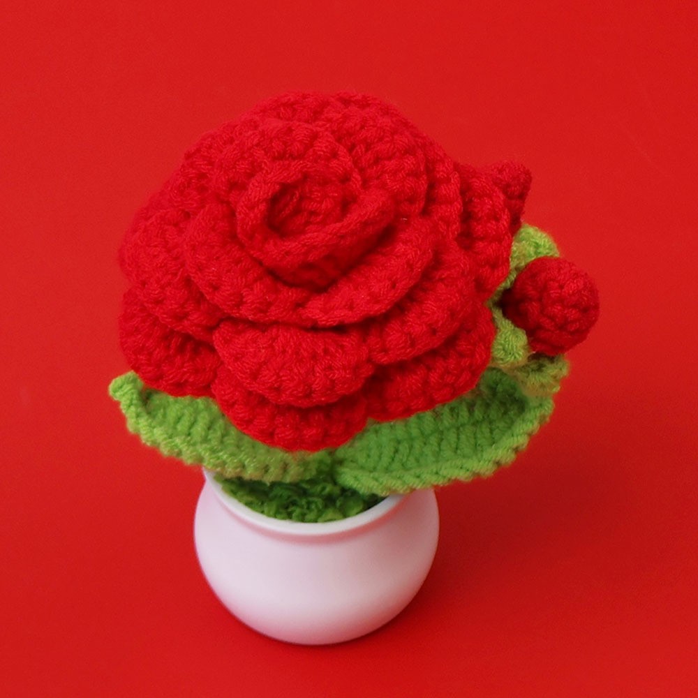 Gran Rosa Roja - Rosa redondeada anti - enredada (2 brotes de flores) (maceta blanca)