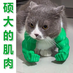 3D Printed Cat Muscle Arm Hanging Neck Prank Toy Pet Photography Prop Cat's Hulk Arm