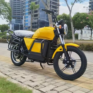 D300 elektrikli idman motosikleti, böyüklər üçün yüksək sürətli, yüksək güclü