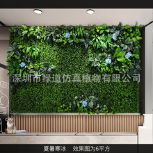 �������������ֲ�1ƽ���|�����w����Gֲ���bGɫ�쾰