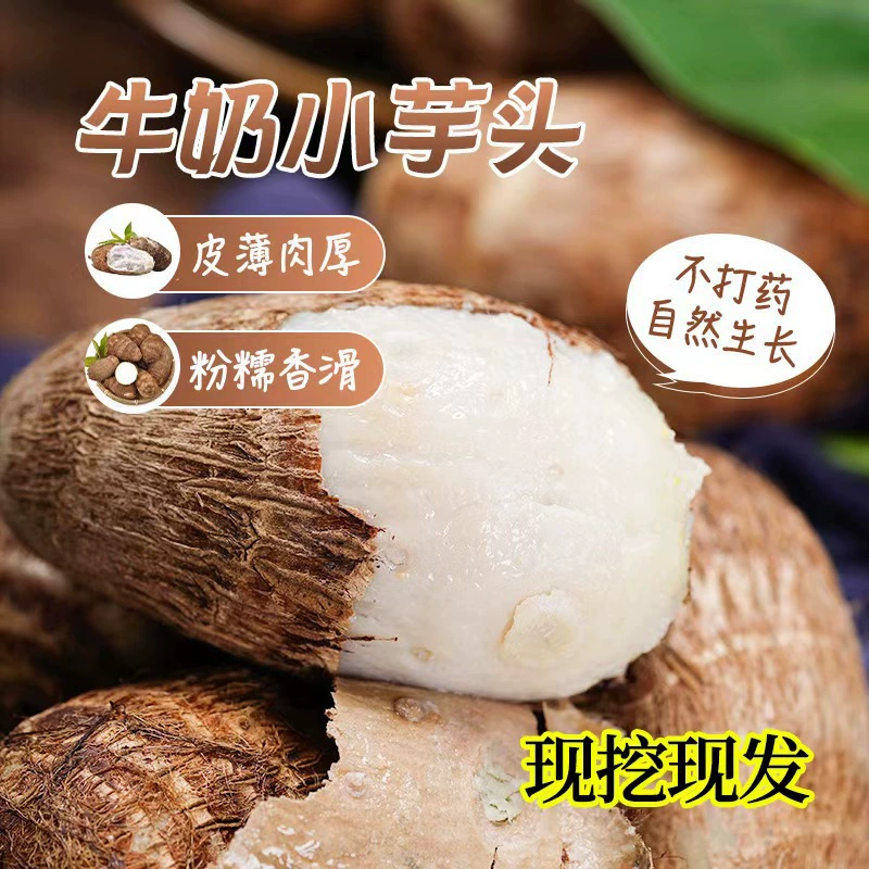 Shandong Weifang Small Taro, Fresh and Fragrant, in Stock, Medium-Sized, Free Shipping, Direct Delivery from the Place of Origin