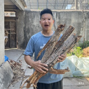 �����Ƥ����ɗ��Ƥ�ח��Ƥ�ח�Ƥ���A���ƤС�~��؛��؛