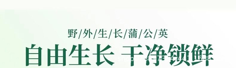 Premium Dried Dandelion Root Whole 120g Wild Pugongying Herbal Tea overview