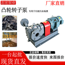 LZB凸轮转子泵球铁 污泥污水输送泵 不锈钢活塞转子泵 卧式泥浆泵