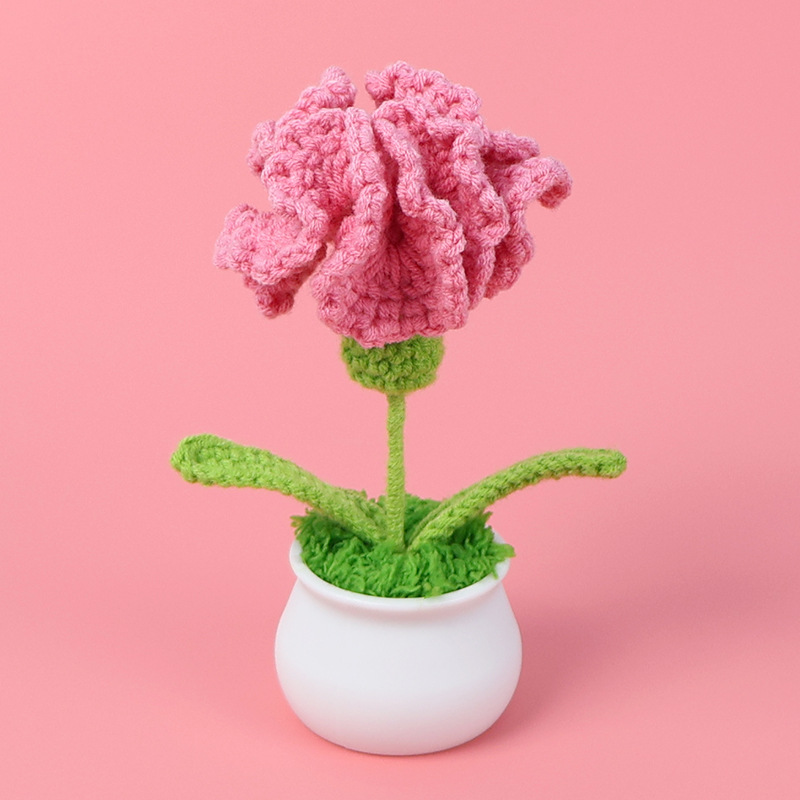 Carnation pot-polvo de moda