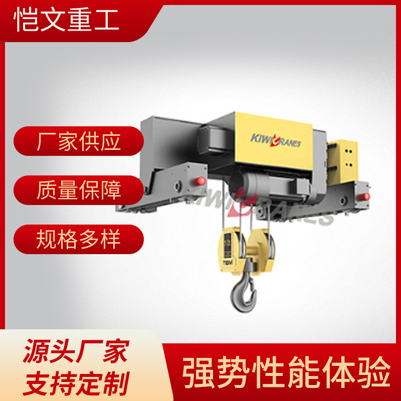 供应5吨10吨欧式钢丝绳挂钩葫芦 1吨2吨电动欧式钢丝绳葫芦厂家