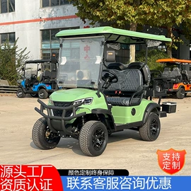 电动观光车;高尔夫球车;其他电动车