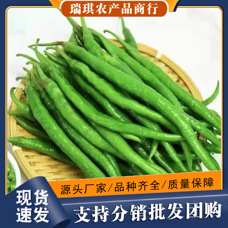 农家自种鲜二荆条辣椒新鲜中辣5斤当季线椒蔬菜青辣椒长尖椒现摘
