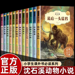 ��ʯϪ����С�fȫ��12����ʯϪ�ĕ�ȫϵ�Іα�Ʒ�ؕ�ϵȫ������