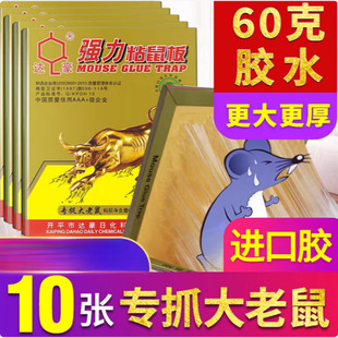�_�����ţ����ճ���Ӵ�Ӻ�ճ�������N�N�����Ü���������