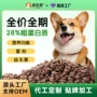 幼犬代工定制金毛成犬