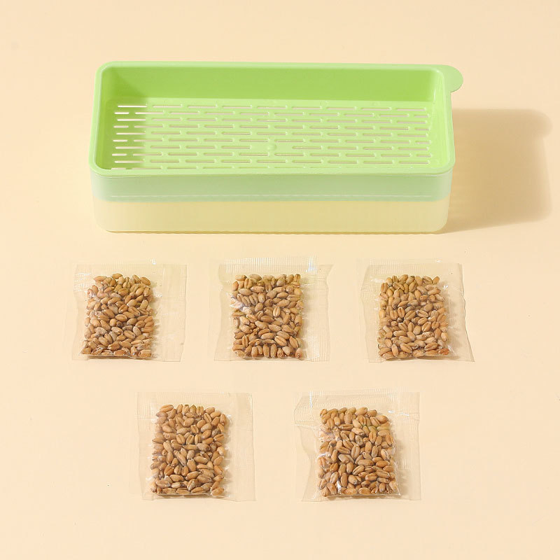 Nuevo tipo de caja de plantación de hierba para gatos sin suelo, set de hierba para gatos, aperitivos de hierba hidropónica, artículos para mascotas