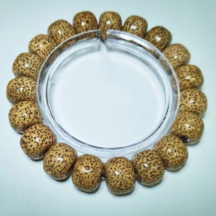 �S�����l���ϸ�ĥ���¸ߒ�����Ħ�������Ͱ�龫���������ִ��Y��