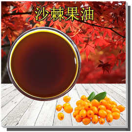 沙棘果油支持检测沙棘油有质检新疆沙棘油收藏领券另有沙棘籽油