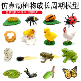 �羳��ͯ����ƽ̄������x�J֪�������ư�x�۷���L����ģ�����b