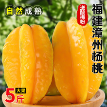 【顺丰包邮】福建漳州甜杨桃5斤新鲜水果应当季红扬桃五角星阳桃