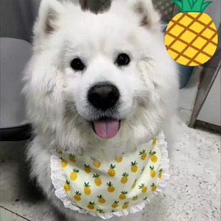����С�д���Ȯ����������ˮ���_ĦҮ��ë��ʿ�氢��˹�Ӈ�������