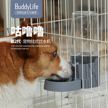 Buddylife ʽˮ؈ԄˮCˮˮ\