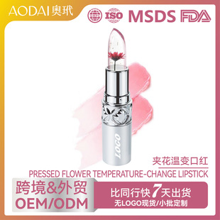 �羳�F؛�A����׃�ڼt�oLOGO��������̝����ഽ�Կڼt���۴���