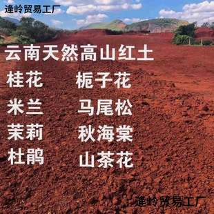 ��ϸ�ԭ����С�w���t���軨��������ľ���N���Ի��ܠI�B��