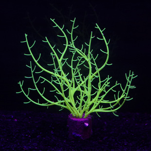 �羳ˮ���^�~���쾰�b�ɫ�ɹ���zܛ�wɺ��֦��ˮ�� ����ɺ��