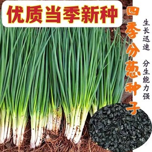 ����ɽ�|�������[�N���S�a�F�U�߲����ӷN���ļ��[�N���ش����[��