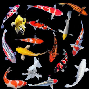 �^�p�~�\���~���~���~���~��ˮ�~���B�׻���ˮ�^�p�~�^�p�~�\��