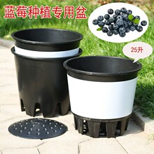 蓝莓专用盆树脂塑料大容量月季苗花盆25L大口径控根盆圆形种植盆