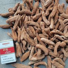 �х�  ���|�ʺ� ���^���� ����؛ �ߝq�l ����ă��}�ɺ���