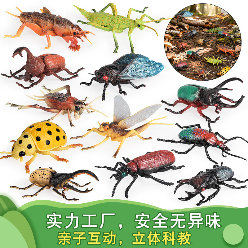 Simulated Insect Model Animal Cricket, Mayfly, Mole Cricket, Cicada, Bamboo Beetle, Large Beetle, Children's Toy Ornament Simulated Insect Model Animal Cricket, Mayfly, Mole Cricket, Cicada, Bamboo Beetle, Large Beetle, Children's Toy Ornament