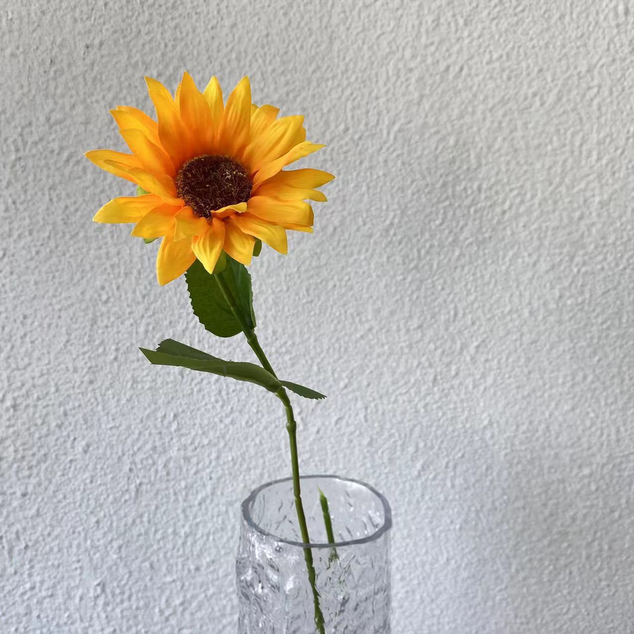 노란 해바라기