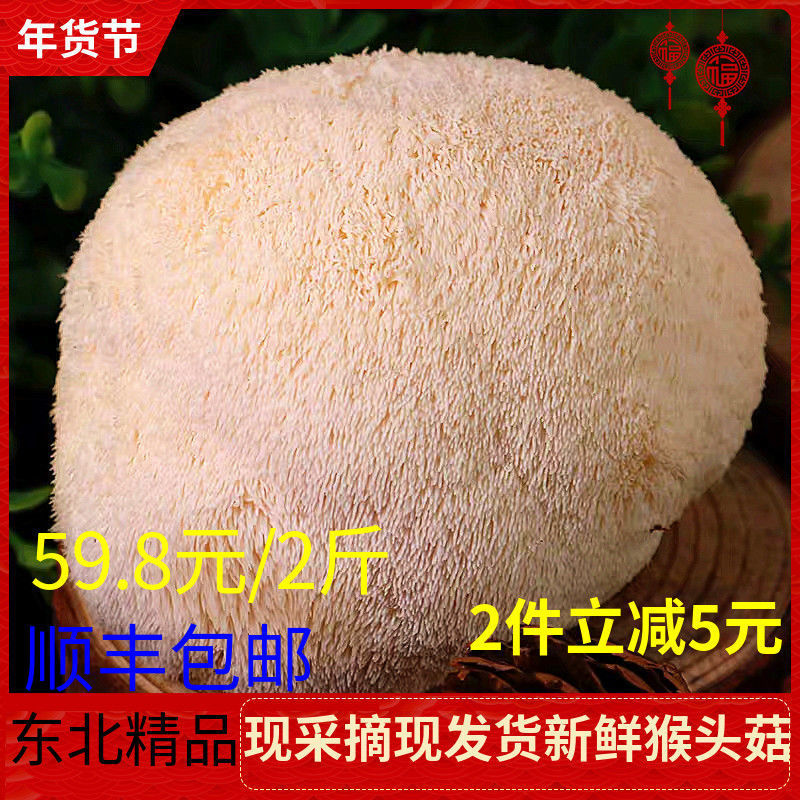 2021黑龙江东北特产胃新鲜猴头菇2斤精选非野生食用菌顺丰包邮