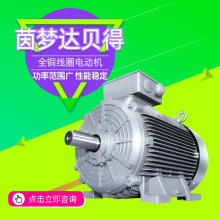 �����_늙CSIMOTICS 1LE8 IE4ϵ�е͉���������늄әC�S��ֱ��