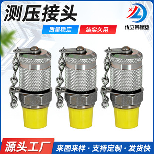 Factory Direct Supply Pressure Test Joint Pressure Test System Test PT Series Pressure Test Joint High Pressure Hydraulic Joint