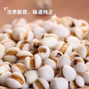 �F��޲���� С޲�� ޲����޲�ײ�޲������؛޲������s�Z�������l