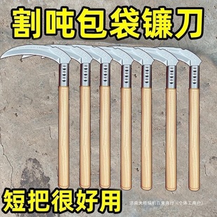 ���z݆̥���ߵ���݆̥�¿�砵�݆̥�����ظ��h���Ї�