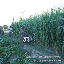 �F�ݰ��ݺ������ո�C ���~���Ե�����C ���lɣ�l��C�r��