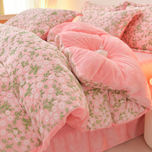 ��ţ�̽q�ļ���2024�¿���Ӻ�ɺ���q���ϱ��״����p�ݸ߼���