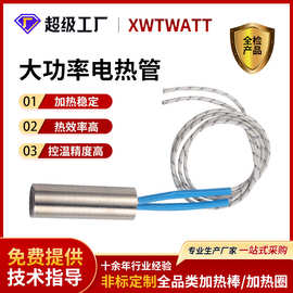 高温大功率加热管单头加热棒太阳能储能工业设备熔盐电热管加热器
