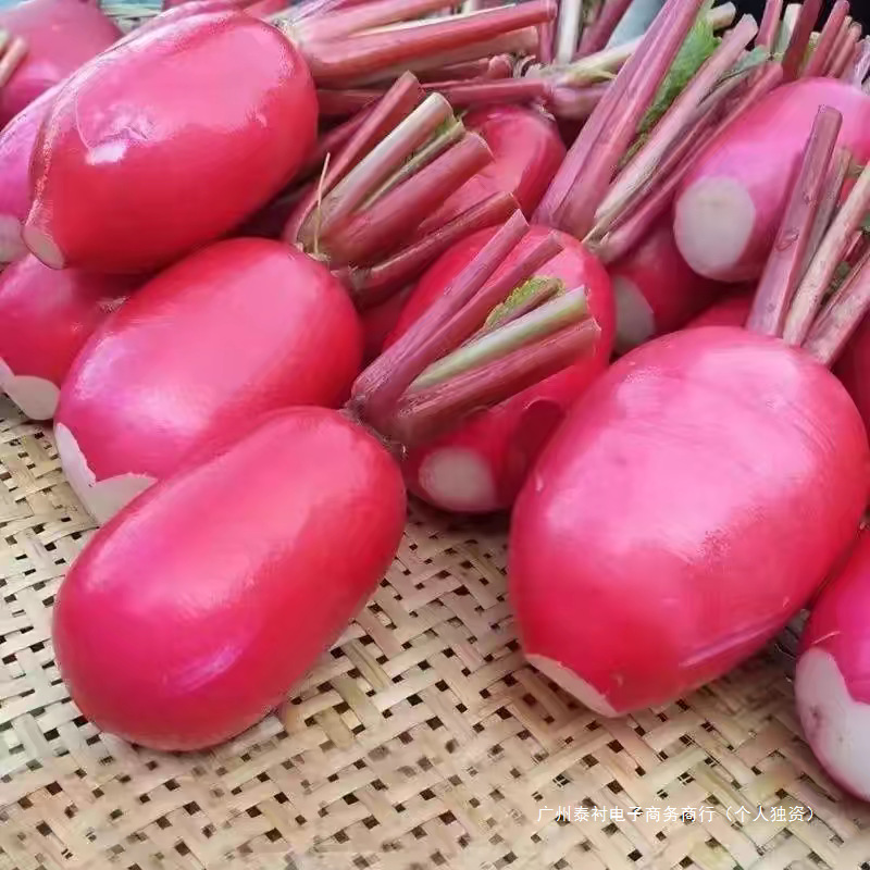 新鲜红皮萝卜5斤装农家自种蔬菜现摘现发炒菜泡萝卜包白心泡菜
