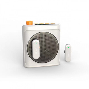New Private Model Little Bee Wireless Amplifier New Wireless Microphone for Teachers, Tour Guides, and Mall Promotions