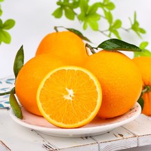 秭歸臍橙當季新鮮鮮甜多汁湖北宜昌60-75mm壞果包賠