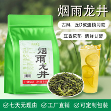 烟雨龙井绿茶奶茶店奶茶水果茶商用原料乳豆青团鲜奶茶清香有机