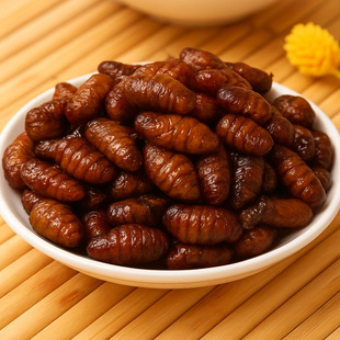 �S�ҹ����F؛��ը�QӼ �����QӼ �����QӼ  �����QӼ �д���