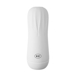 食涩 Electric small men's airplane charging, inflatable doll, handle, vibration, makes sounds
